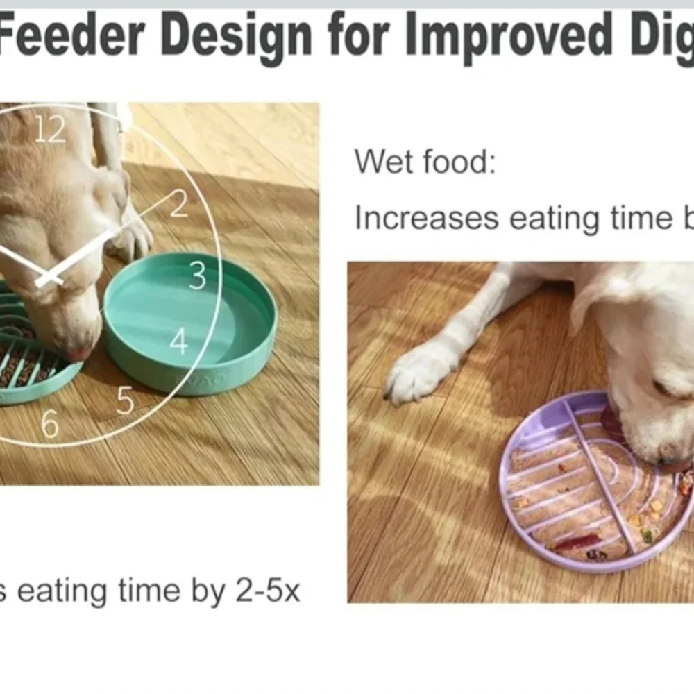 Slow Feeder Dog Bowls Set for Small Dogs & Cats, Portable Non-Slip Silicone Food
